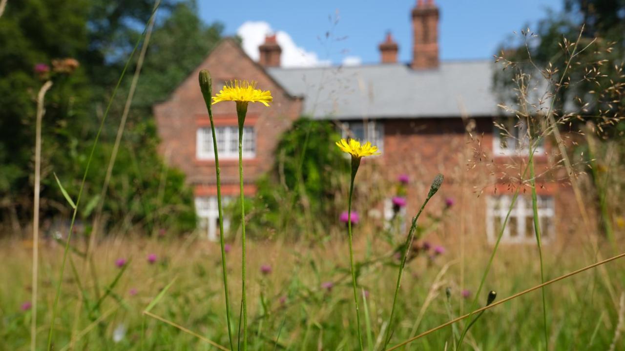 Beech Hill B&B Weaverham Dış mekan fotoğraf