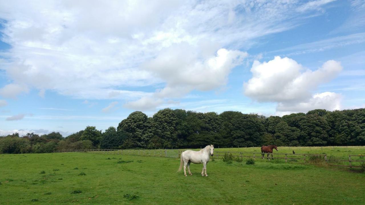 Beech Hill B&B Weaverham Dış mekan fotoğraf